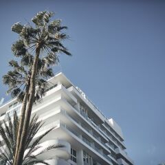 Отель Robinson Club Jandia Playa Морро Жабле