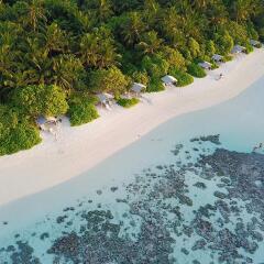 Отель Plumeria Maldives пляж фото 2