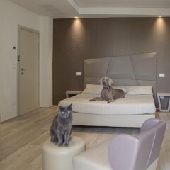 Hotel Principe комната для гостей фото 3