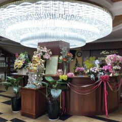 Hai Yen 1 Hotel гостиничный бар
