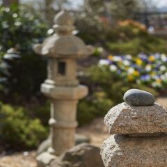 Отель Mandarin Oriental, Washington D.C. фото 9