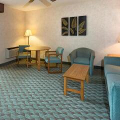 Отель Borrego Springs Resort and Spa комната для гостей фото 3