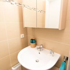 Апартаменты Checkvienna – Apartment Rossauer Lande Вена ванная