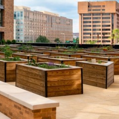 Отель Global Luxury Suites at The Wharf США, Вашингтон - отзывы, цены и фото номеров - забронировать отель Global Luxury Suites at The Wharf онлайн балкон