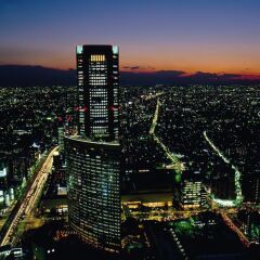 Отель Park Hyatt Tokyo Токио балкон