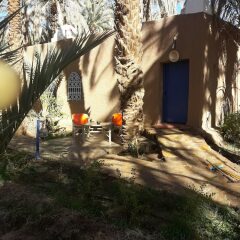 Отель Riad Tagmadart Ferme D'hôte Марокко, Загора - отзывы, цены и фото номеров - забронировать отель Riad Tagmadart Ferme D'hôte онлайн фото 16