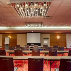 Отель Pinnacle Hotel Harbourfront Канада, Ванкувер - отзывы, цены и фото номеров - забронировать отель Pinnacle Hotel Harbourfront онлайн помещение для мероприятий