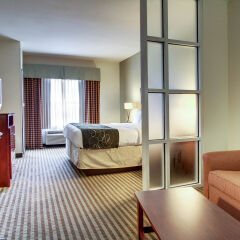 Отель Comfort Suites Vicksburg США, Виксбург - отзывы, цены и фото номеров - забронировать отель Comfort Suites Vicksburg онлайн комната для гостей фото 3