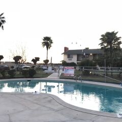 Отель 99 Palms Inn & Suites
