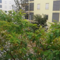 Отель With 2 Bedrooms in Portimão, With Wonderful City View and Balcony Португалия, Портимао - отзывы, цены и фото номеров - забронировать отель With 2 Bedrooms in Portimão, With Wonderful City View and Balcony онлайн фото 5