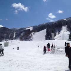 Tateyama Kokusai Hotel Тояма спа