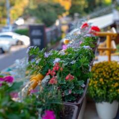 City Hotel Miskolc фото 4
