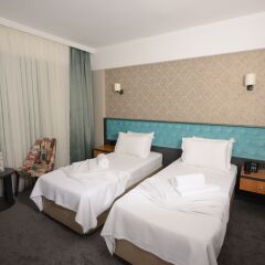 Fier Boutique Hotel - Boutique Class Турция, Кайсери - отзывы, цены и фото номеров - забронировать отель Fier Boutique Hotel - Boutique Class онлайн комната для гостей фото 4
