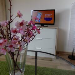 Отель Karlsbad Apartments Чехия, Карловы Вары - отзывы, цены и фото номеров - забронировать отель Karlsbad Apartments онлайн развлечения