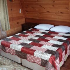 Гостиница Коттедж Арина в Адлере отзывы, цены и фото номеров - забронировать гостиницу Коттедж Арина онлайн Адлер комната для гостей фото 2