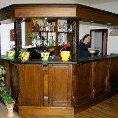 Hotel Iceberg Bansko гостиничный бар