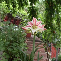 Отель Guest House Rimski Most Болгария, Сандански - отзывы, цены и фото номеров - забронировать отель Guest House Rimski Most онлайн фото 36