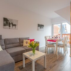 Отель Apartamenty u Gąsieniców Zakopane Закопане комната для гостей фото 5