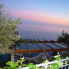 Отель B&B Miramare Аджерола с домашними животными