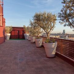 Hotel Dome Las Tablas фото 6