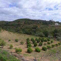 Отель Herdade da Corte - Country House