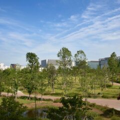 Отель Courtyard by Marriott Seoul Botanic Park фото 3