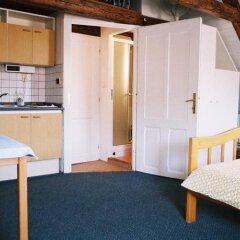 Отель U Zlatého koníčka / The Golden Horse House Чехия, Прага - отзывы, цены и фото номеров - забронировать отель U Zlatého koníčka / The Golden Horse House онлайн в номере