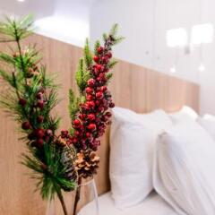 Hotel Snegiri фото 29