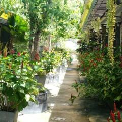 Отель Greenery Resort Koh Tao фото 13