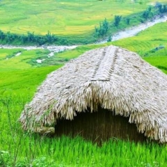 Отель H'mong Mountain Retreat Вьетнам, Шапа - отзывы, цены и фото номеров - забронировать отель H'mong Mountain Retreat онлайн фото 6