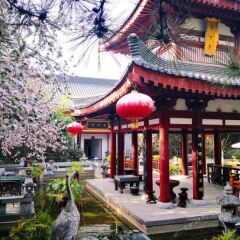 Отель Tang Dynasty Art Garden Hotel Китай, Сиань - отзывы, цены и фото номеров - забронировать отель Tang Dynasty Art Garden Hotel онлайн фото 2