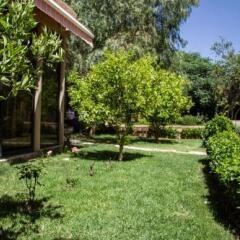 Отель Riad Tama Марокко, Уарзазат - отзывы, цены и фото номеров - забронировать отель Riad Tama онлайн фото 15