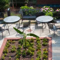 Отель Bluebird Suites on Washington Circle США, Вашингтон - отзывы, цены и фото номеров - забронировать отель Bluebird Suites on Washington Circle онлайн питание