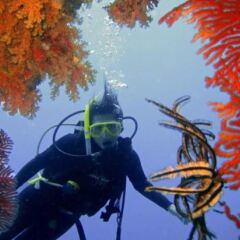 Отель Octopus Resort фото 10