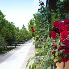 Hotel Ozlem Garden - All Inclusive фото 21