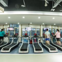 Отель Sheraton Shenzhen Futian Hotel Китай, Шэньчжэнь - отзывы, цены и фото номеров - забронировать отель Sheraton Shenzhen Futian Hotel онлайн фитнесс-зал фото 4