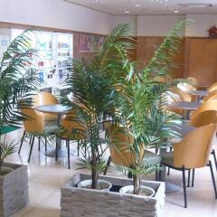 Отель Toyoko Inn Hakata Nishi-Nakasu Фукуока гостиничный бар