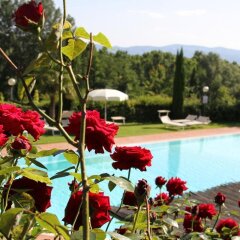Отель Villa Rigacci Реггелло бассейн фото 2