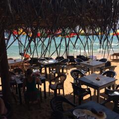 Отель Main Reef Guest House Хиккадува гостиничный бар