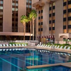 Отель Riviera Hotel & Casino США, Лас-Вегас - 8 отзывов об отеле, цены и фото номеров - забронировать отель Riviera Hotel & Casino онлайн бассейн фото 3