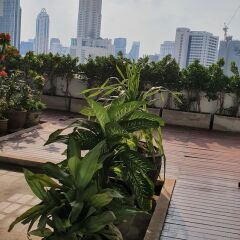 Отель Interchange Tower Serviced Apartment Таиланд, Бангкок - отзывы, цены и фото номеров - забронировать отель Interchange Tower Serviced Apartment онлайн приотельная территория