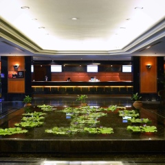 Bangkok Hotel Lotus Sukhumvit Бангкок развлечения