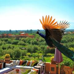 Отель Riad Al Mendili Kasbah Private Resort & Spa балкон