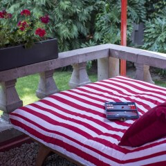 Отель Pug Seal B&B Coyoacan Мексика, Мехико - отзывы, цены и фото номеров - забронировать отель Pug Seal B&B Coyoacan онлайн фото 8
