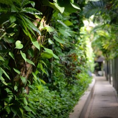 Отель Andaman White Beach Resort Таиланд, пляж Банг-Тао - 3 отзыва об отеле, цены и фото номеров - забронировать отель Andaman White Beach Resort онлайн фото 5