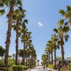 Отель Camping Vendrell Platja фото 16
