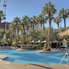 Treasure Island Hotel & Casino бассейн фото 2
