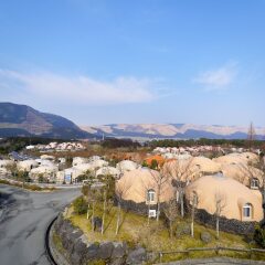 Отель Aso Farm Village Минамиогуни фото 17
