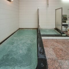 Отель Subaruyado Yoshino Минамиавадзи бассейн фото 3