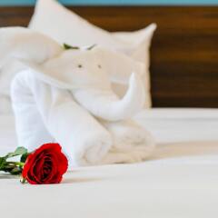 Hoi An Dream City Hotel удобства в номере